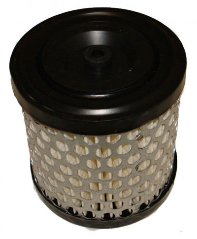 Briggs and Stratton 2HP - 5HP Engine Air Filter
