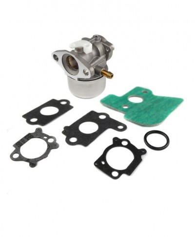 Carburettor Assembly Fits Briggs and Stratton Engine Replaces 790120 694202 693909 692648 499617