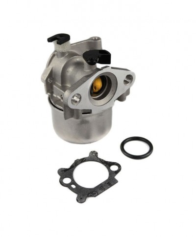 Carburettor Assembly Fits Briggs and Stratton Engine Replaces 794304 796707 799866