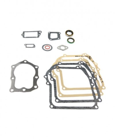 Gasket Set Fits Briggs and Stratton Replaces 391662