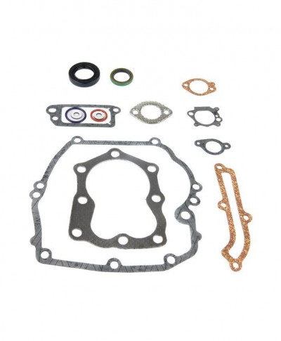 Gasket Set Fits Briggs and Stratton Replaces 493263 496117