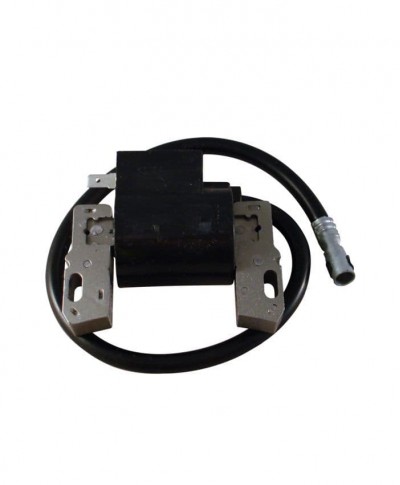 Ignition Module Coil Assembly Fits Briggs and Stratton Engine 492341 490586 491312 495859 591459