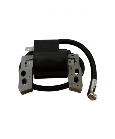 Ignition Module Coil Assembly Fits Briggs and Stratton Engine Replaces 695711 802574 & 796964